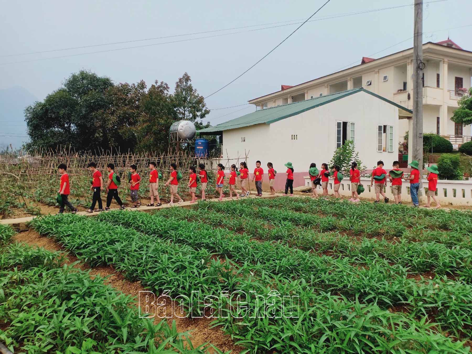 Các em học sinh tham quan mô hình trồng rau tại Trung đoàn 880.